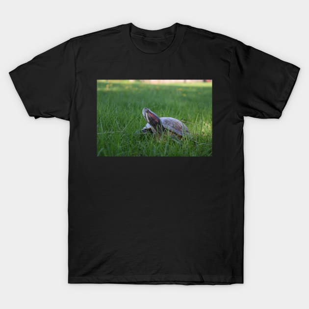 Red Eared Slider Turtle in Grass T-Shirt by Tenpmcreations